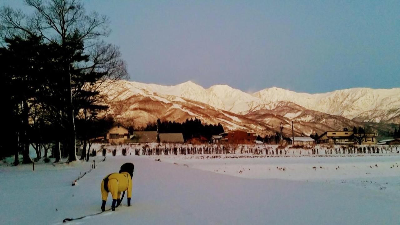 Little Alaskan Guest House Hakuba Exterior photo